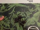 Donald Byrd Byrd In Flight 200 Gram Classic Record Reissue