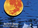 RADIN,JOSHUA-ONWARD & SIDEWAYS  (US IMPORT)  VINYL LP NEW
