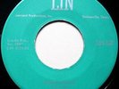 DON TERRY   Knees Shakin'  ORIG TX '59 ROCKABILLY ROCKER   Lin 5108   VG+   HEAR