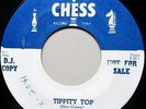 RAYS   Tippity Top/Moo-Goo-Gai-Pan   GROUP DOO-WOP ROCKER   Chess 1613  DJ PROMO