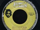 1185 BRIGADIER JERRY-WILD GOOSE CHASE-JA MAN-REGGAE 45 7