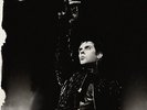 PETER MURPHY**WILD BIRDS LIVE TOUR**2 VINYL SET