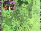 Animal Collective Water Curses EP OOP Rare Free Shipping