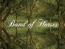 EVERYTHING ALL THE TIME - BAND OF HORSES - Vinyl LP