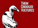 THEM CROOKED VULTURES - THEM CROOKED VULTURES - Vinyl LP