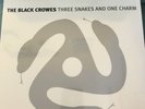 The Black Crowes 