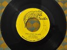 VG+ The Slickers Don't Fight The Law You Can't Win Panther P-11 Reggae 45 7
