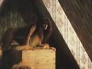 Kate Bush Original 'Lionheart' Songbook RARE