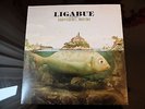 Luciano Ligabue - Arrivederci mostro LP 2010