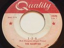GARAGE PUNK The Haunted 1-2-5 Quality 45 rare Canadian MONTREAL mod fuzz KILLER