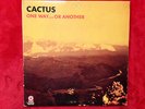 Cactus 