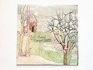 MARGOT & THE NUCLEAR SO AND SO'S NOT ANIMAL 2008 VINYL 2 LP RARE INDIE OOP Epic