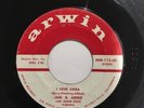 Jan & Arnie - I Love Linda * Arwin Rock Teen 45 EX