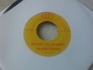 THE HONEY DRIPPERS - IMPEACH THE PRESIDENT - US FUNK 45 CLASSIC