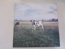 Pink Floyd /  Screaming Abdabs - Dark Side of the Moo RARE nm LP (Cud382) Trixie