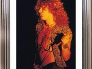 ULTRA COOL - LED ZEPPELIN - ROBERT PLANT - ORIGINAL HAND SIGNED AUTOGRAPH
