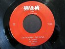 THE CADETS You'll Never Walk Alone 45 WAM Ohio garage psych soul LISTEN HEAR MP3