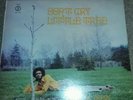 TREVOR DANDY * DON'T CRY LITTLE TREE *  * NEAR MINT