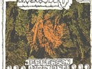 JEFFERSON AIRPLANE--PICTURE SLEEVE + PROMO 45---(MEXICO)----PS--PIC--SLV
