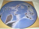 RARE Madonna Erotica Picture disc Vinyl