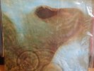 Pink Floyd - Meddle LP First Press, NZ Harvest Label SHVL795