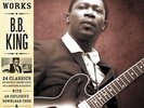 B.B. King - Blues Master Works (Double Vinyl LP + CD and Digital Download) [VINY
