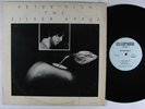 PETER FISH The Silver Apple LP on Ellipsoid VG++ private spiritual jazz