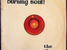 The Flames Burning Soul LP 1968 Ricky Fataar Blondie Chaplin Beach Boys rare