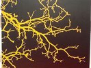 IF THESE TREES COULD TALK-S/T (TOUR EDITION/100, 2007 OOP RARE, POST ROCK)