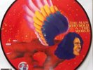 DAVID BOWIE The Man Who Sold The World Picture disc Vinyl LP NEW Sealed RSD