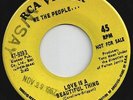 WE THE PEOPLE-Love Is A Beautiful Thing-1967 Central Florida Garage-Punk DJ Issu