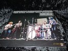 Creedence Clearwater Revival: Live at Royal Albert Hall 1970 / Orig. LP / 1980