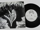 Betsan Lloyd-Y Diwedd-UK 7