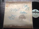 Phil Collins Chester Mike Tony Full Orig.signed Autograph Genesis Lp