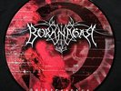 BORKNAGAR - Quintessence PIC-LP - first press