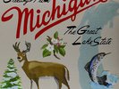 SUFJAN STEVENS MICHIGAN LP VINYL NEW 2014 33RPM 2LP