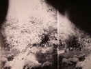 GODSPEED YOU BLACK EMPEROR - Asunder Sweet & Other Distress' - Vinyl (LP)