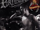 The Bruisers Up In Flames 20th Anniversary LP Vinyl NEW