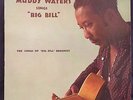 Muddy Waters 