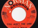 LITTLE MOJO You Ain’t The One / Paula NORMAN Rare R&B Doo Wop 45 Oldies
