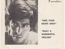 TAYFUN KARATEKIN Hide Your Heart TURKISH folk Sweden 45 STARDUST INTERNATIONAL