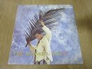 ANDY LAU ??? - The Answer Is You LP 1993