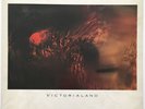 COCTEAU TWINS VICTORIALAND LP 4AD 1986 UK PRESS