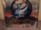 Circa Survive RSD 7