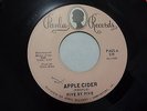 Five by Five Apple Cider / Fruit stand Man Paula 319 VG++