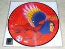 David Bowie MAN WHO SOLD THE WORLD Record Store 2016 RSD Vinyl Picture Disc LP