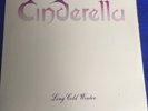 Rare Vintage Vinyl LP Record Cinderella Long Cold Winter 80's Hair Band