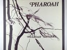 Pharoah Sanders 