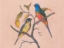 The Monsters - Birds Eat Martians  Vinyl LP  16 Tracks Alternative Rock Neuware