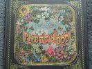 Panic At Disco **RARE** Welcome To The Pretty Odd 12